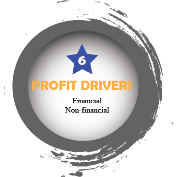 Profit Drivers